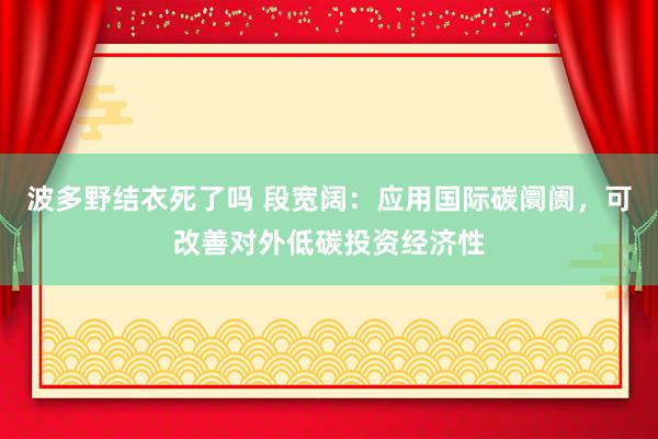 波多野结衣死了吗 段宽阔：应用国际碳阛阓，可改善对外低碳投资经济性