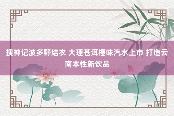 搜神记波多野结衣 大理苍洱橙味汽水上市 打造云南本性新饮品