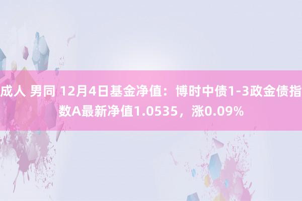 成人 男同 12月4日基金净值：博时中债1-3政金债指数A最新净值1.0535，涨0.09%