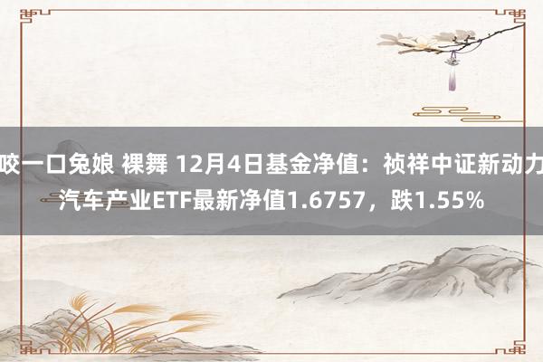 咬一口兔娘 裸舞 12月4日基金净值：祯祥中证新动力汽车产业ETF最新净值1.6757，跌1.55%