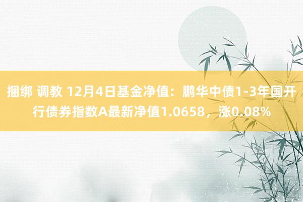 捆绑 调教 12月4日基金净值：鹏华中债1-3年国开行债券指数A最新净值1.0658，涨0.08%