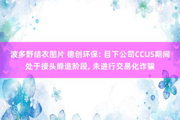 波多野结衣图片 德创环保: 目下公司CCUS期间处于接头缔造阶段, 未进行交易化诈骗