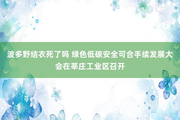 波多野结衣死了吗 绿色低碳安全可合手续发展大会在莘庄工业区召开