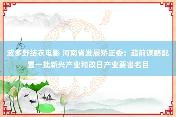 波多野结衣电影 河南省发展矫正委：超前谋略配置一批新兴产业和改日产业要害名目