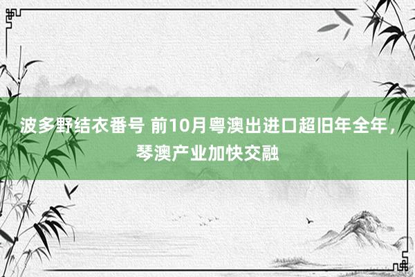 波多野结衣番号 前10月粤澳出进口超旧年全年，琴澳产业加快交融