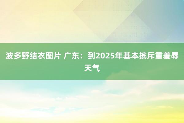 波多野结衣图片 广东：到2025年基本摈斥重羞辱天气