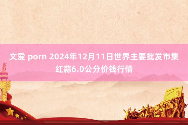 文爱 porn 2024年12月11日世界主要批发市集红蒜6.0公分价钱行情