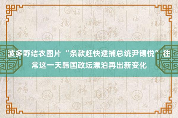 波多野结衣图片 “条款赶快逮捕总统尹锡悦” 往常这一天韩国政坛漂泊再出新变化