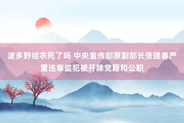 波多野结衣死了吗 中央宣传部原副部长张建春严重违章监犯被开除党籍和公职