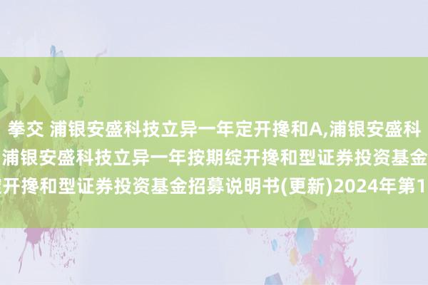 拳交 浦银安盛科技立异一年定开搀和A,浦银安盛科技立异一年定开搀和C: 浦银安盛科技立异一年按期绽开搀和型证券投资基金招募说明书(更新)2024年第1号