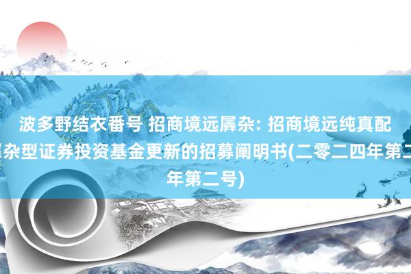 波多野结衣番号 招商境远羼杂: 招商境远纯真配置羼杂型证券投资基金更新的招募阐明书(二零二四年第二号)