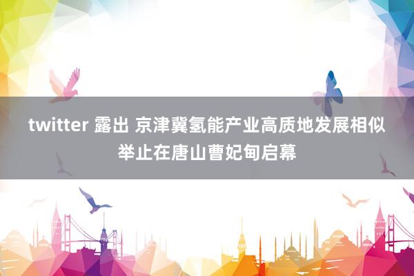 twitter 露出 京津冀氢能产业高质地发展相似举止在唐山曹妃甸启幕