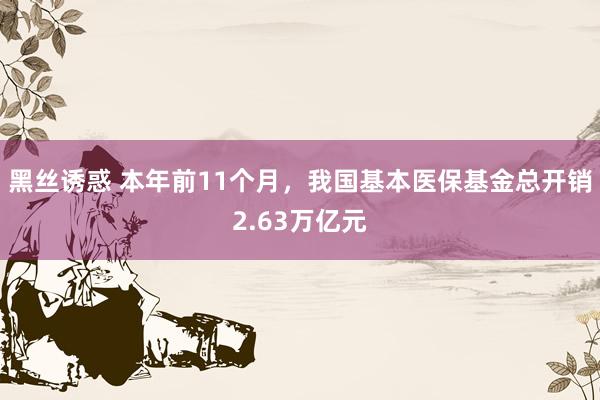 黑丝诱惑 本年前11个月，我国基本医保基金总开销2.63万亿元