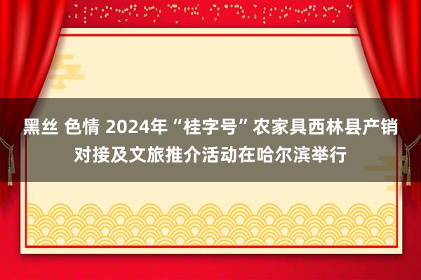 黑丝 色情 2024年“桂字号”农家具西林县产销对接及文旅推介活动在哈尔滨举行