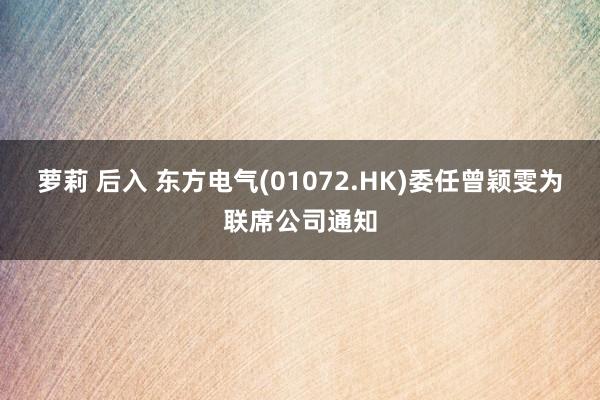 萝莉 后入 东方电气(01072.HK)委任曾颖雯为联席公司通知