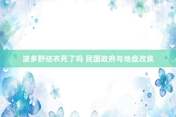 波多野结衣死了吗 民国政府与地盘改良