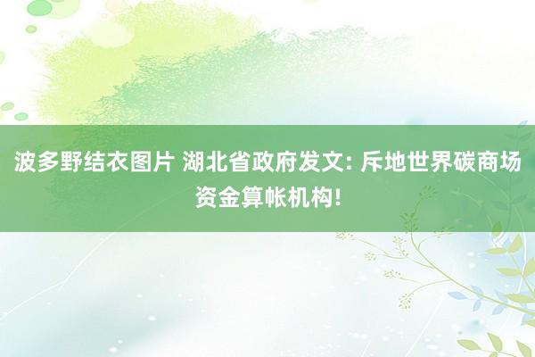 波多野结衣图片 湖北省政府发文: 斥地世界碳商场资金算帐机构!