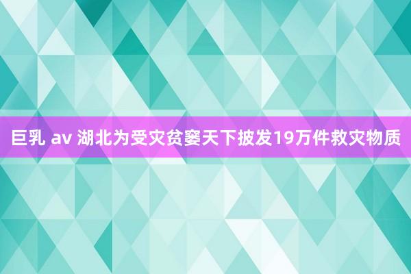 巨乳 av 湖北为受灾贫窭天下披发19万件救灾物质