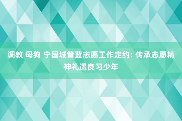 调教 母狗 宁国城管蓝志愿工作定约: 传承志愿精神礼遇良习少年