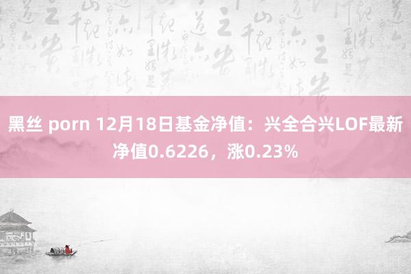 黑丝 porn 12月18日基金净值：兴全合兴LOF最新净值0.6226，涨0.23%