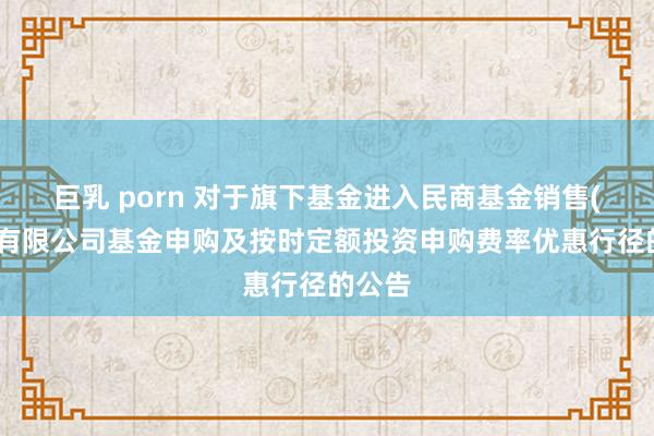 巨乳 porn 对于旗下基金进入民商基金销售(上海)有限公司基金申购及按时定额投资申购费率优惠行径的公告