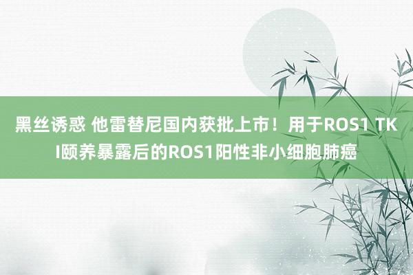 黑丝诱惑 他雷替尼国内获批上市！用于ROS1 TKI颐养暴露后的ROS1阳性非小细胞肺癌