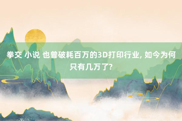 拳交 小说 也曾破耗百万的3D打印行业， 如今为何只有几万了?