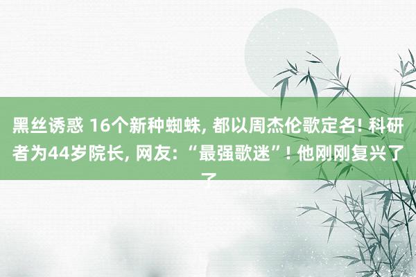 黑丝诱惑 16个新种蜘蛛， 都以周杰伦歌定名! 科研者为44岁院长， 网友: “最强歌迷”! 他刚刚复兴了