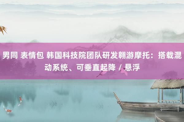 男同 表情包 韩国科技院团队研发翱游摩托：搭载混动系统、可垂直起降 / 悬浮