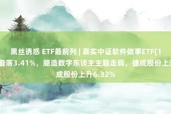 黑丝诱惑 ETF最前列 | 嘉实中证软件做事ETF(159852)着落3.41%，臆造数字东谈主主题走弱，捷成股份上升6.32%