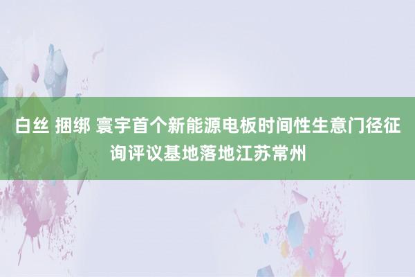 白丝 捆绑 寰宇首个新能源电板时间性生意门径征询评议基地落地江苏常州