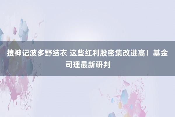 搜神记波多野结衣 这些红利股密集改进高！基金司理最新研判