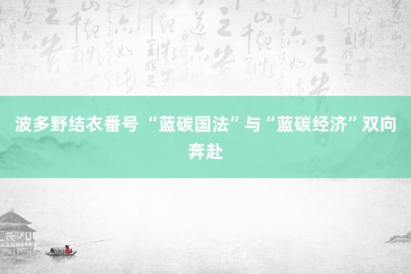 波多野结衣番号 “蓝碳国法”与“蓝碳经济”双向奔赴