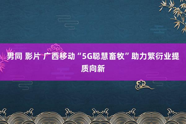 男同 影片 广西移动“5G聪慧畜牧”助力繁衍业提质向新