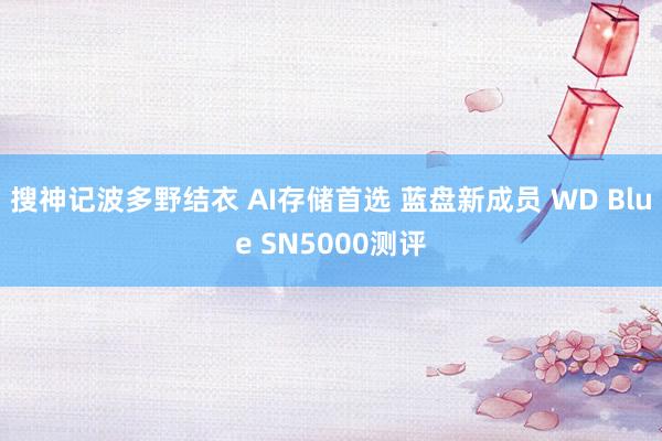 搜神记波多野结衣 AI存储首选 蓝盘新成员 WD Blue SN5000测评