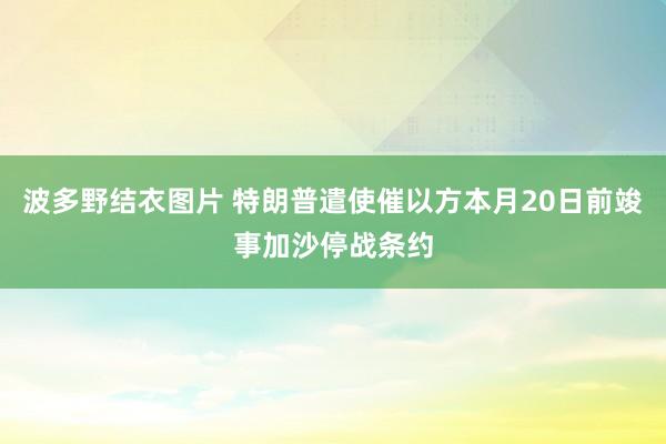 波多野结衣图片 特朗普遣使催以方本月20日前竣事加沙停战条约