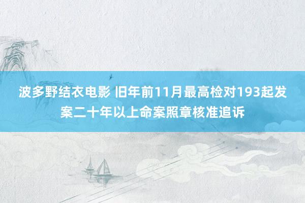 波多野结衣电影 旧年前11月最高检对193起发案二十年以上命案照章核准追诉