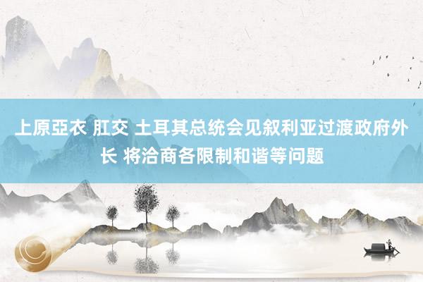 上原亞衣 肛交 土耳其总统会见叙利亚过渡政府外长 将洽商各限制和谐等问题