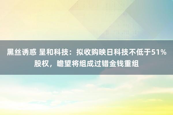 黑丝诱惑 呈和科技：拟收购映日科技不低于51%股权，瞻望将组成过错金钱重组