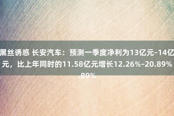 黑丝诱惑 长安汽车：预测一季度净利为13亿元–14亿元，比上年同时的11.58亿元增长12.26%–20.89%